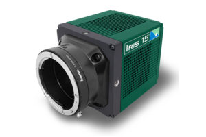 Iris 15