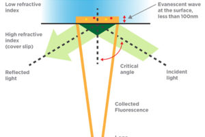 application Microscopie TIRF