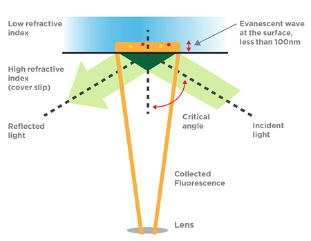 application Microscopie TIRF