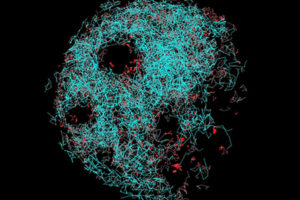 application microscopie à molécule unique