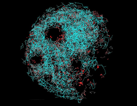 application microscopie à molécule unique