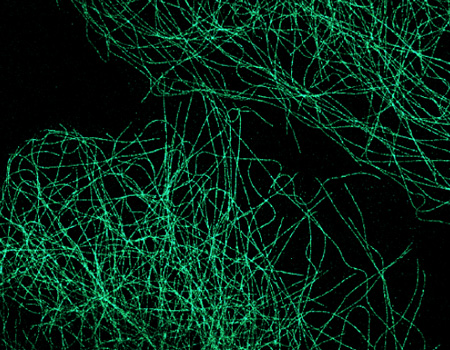 application microscopie de Super Resolution